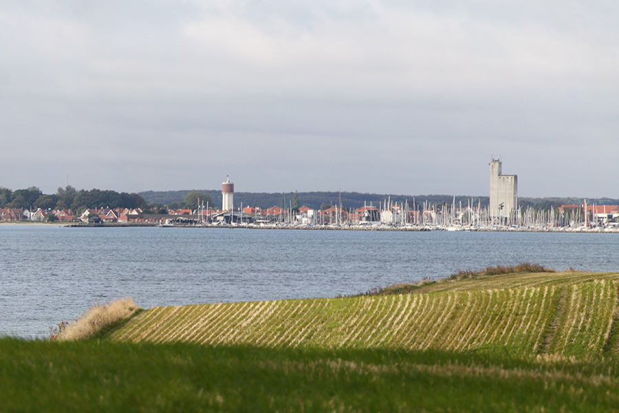 Udsigt ud over grønne marker med Kerteminde Bugt og Kerteminde marina bagved.