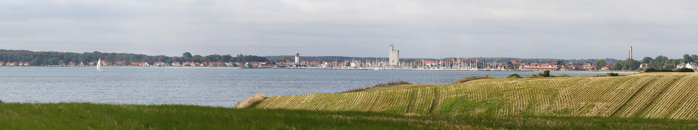 Udsigt ud over grønne marker med Kerteminde Bugt og Kerteminde marina bagved.